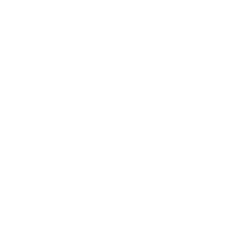 it-expert
